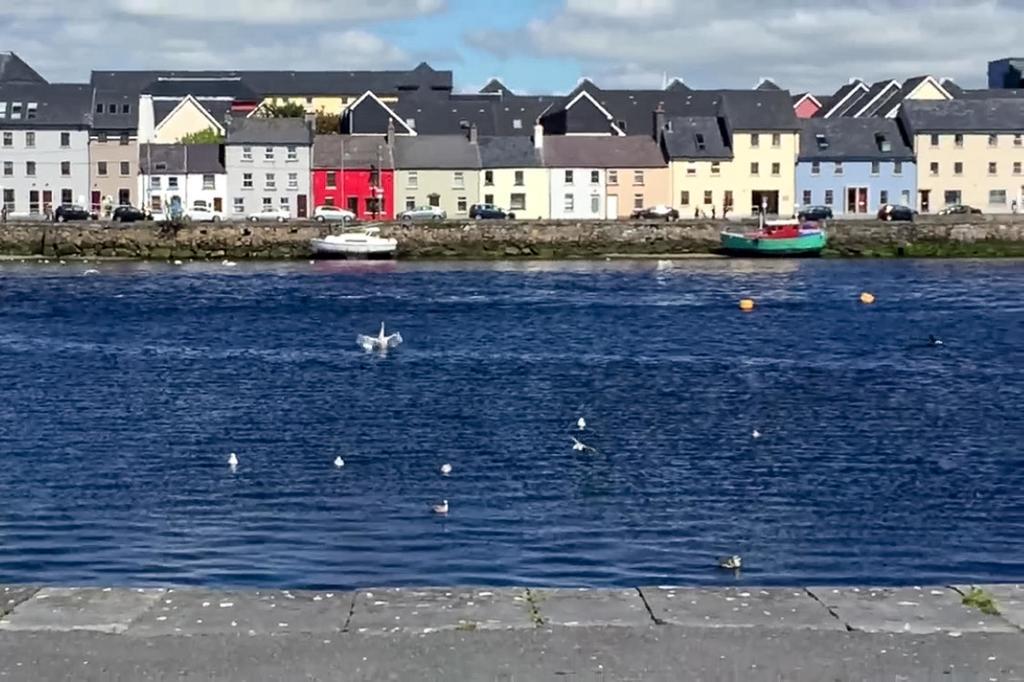 Dominick Street Apartments Galway Esterno foto